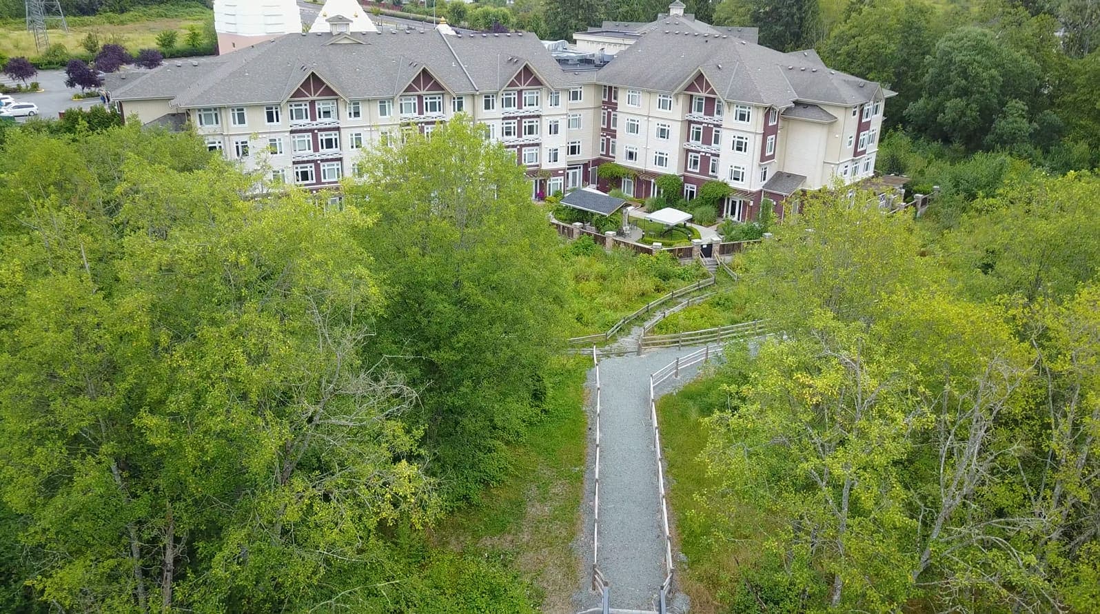 Arrival driveway surrounded by greenery