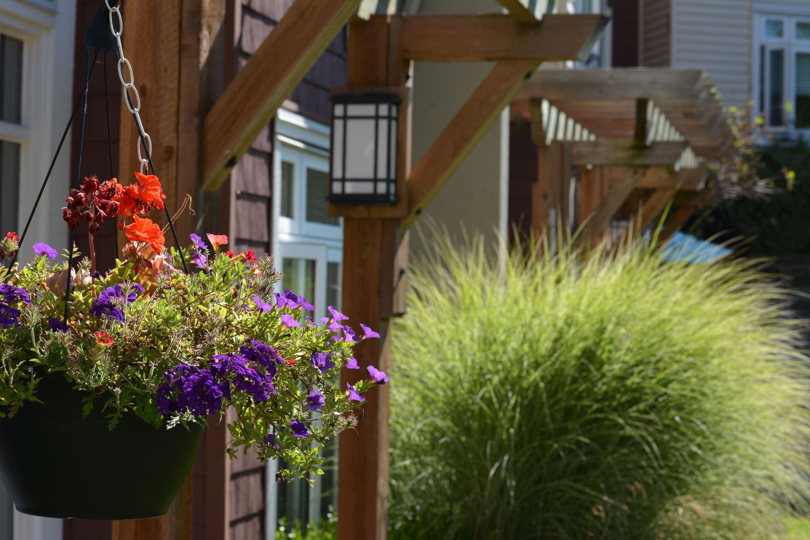Hanging flower baskets along the building