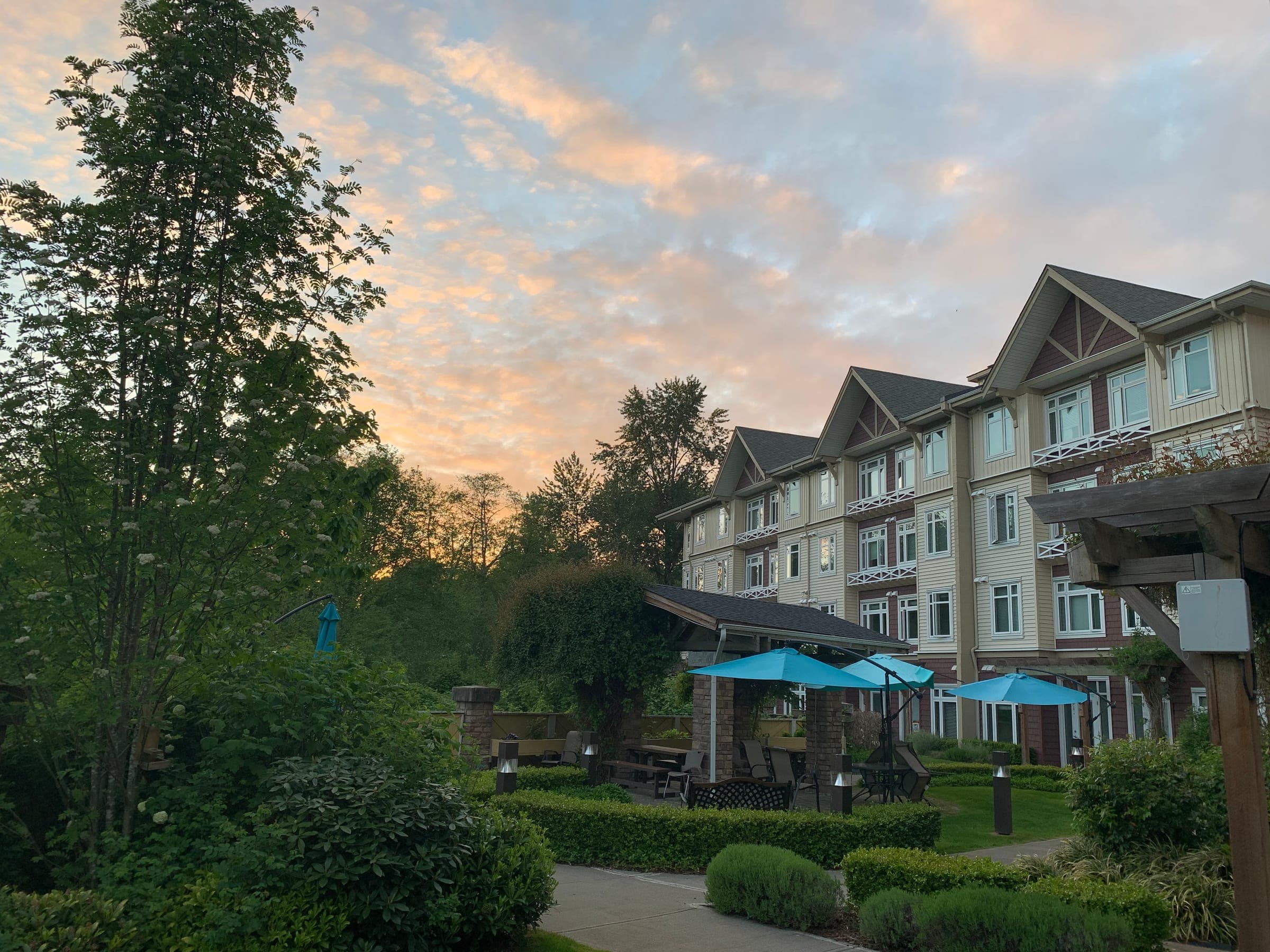 The garden patio at dusk