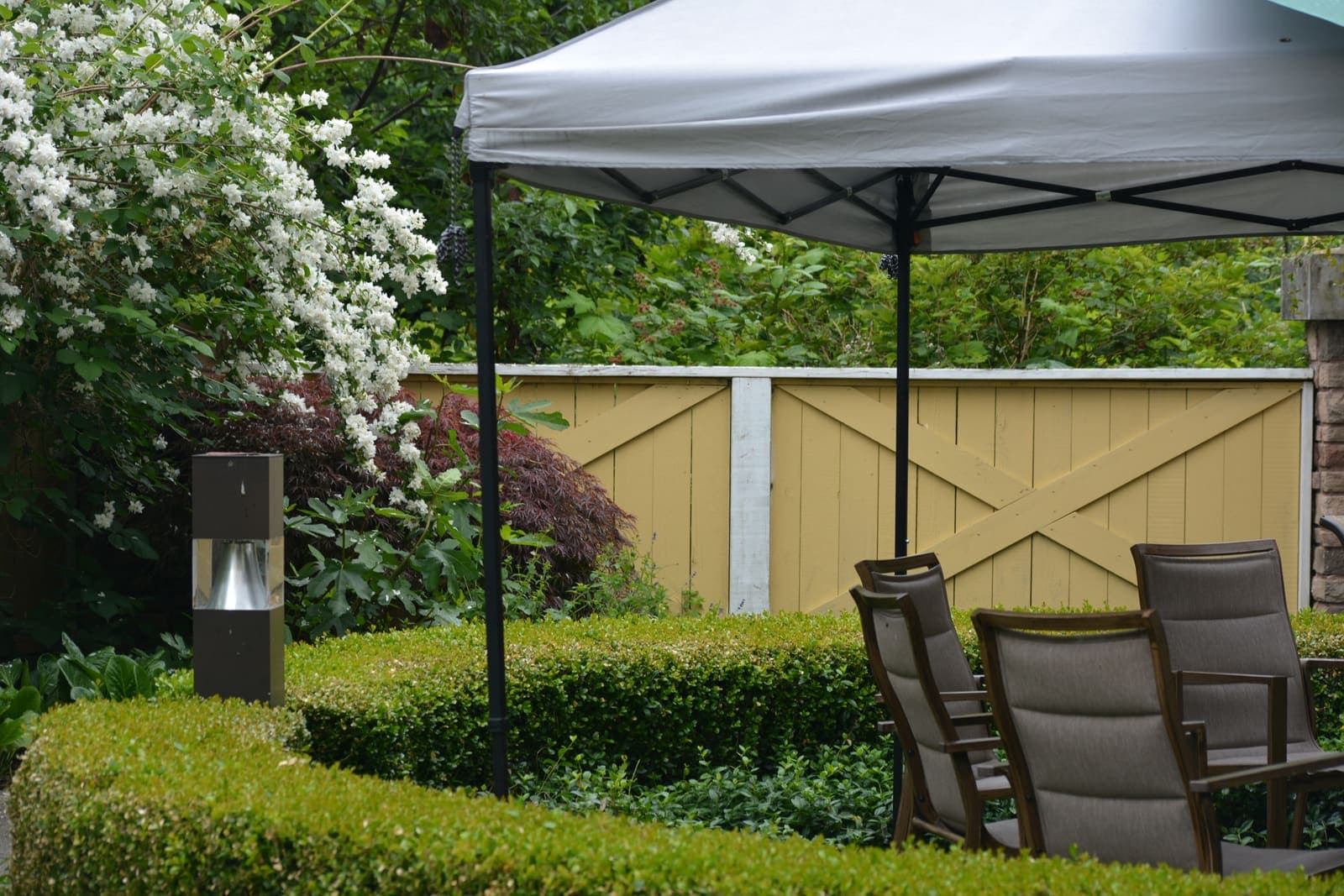 Gazebo and benches in the garden