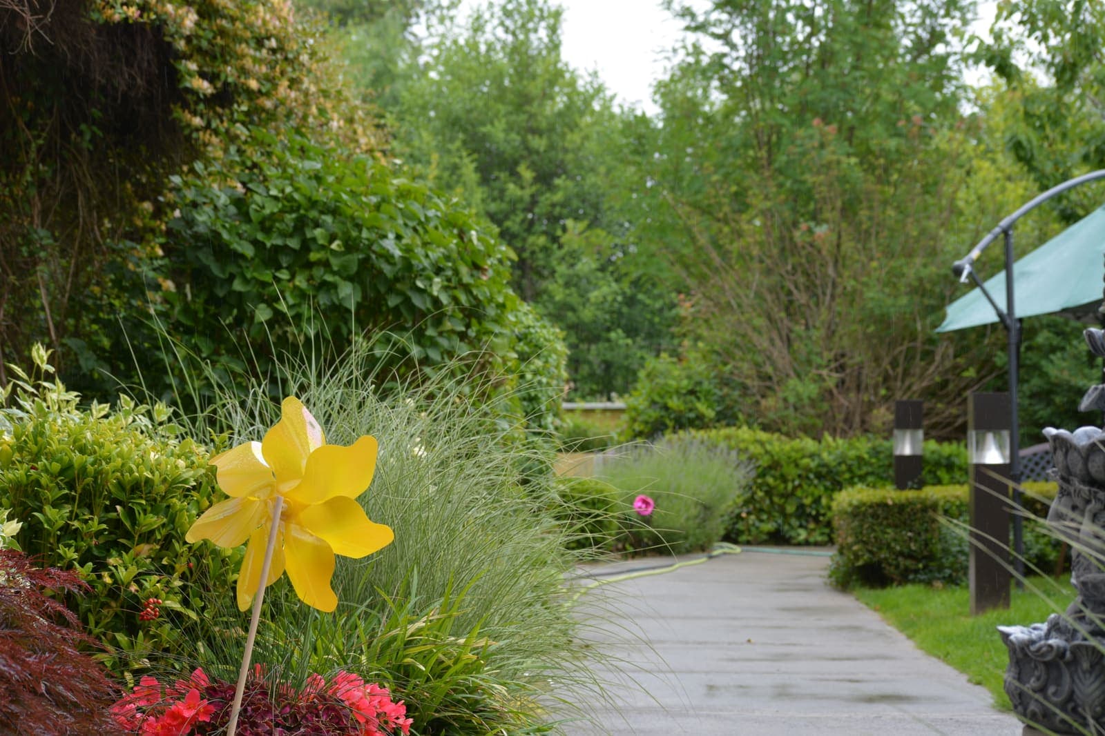 Garden walkway in bloom