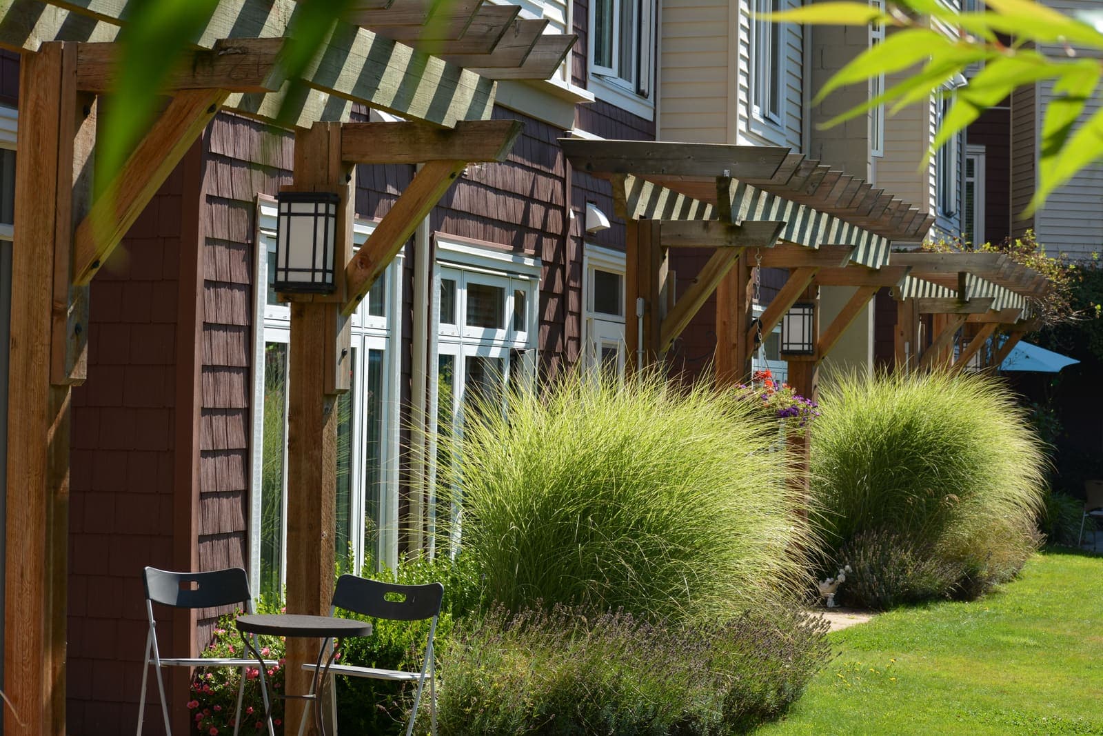 Pergola and ornamental grasses in the garden