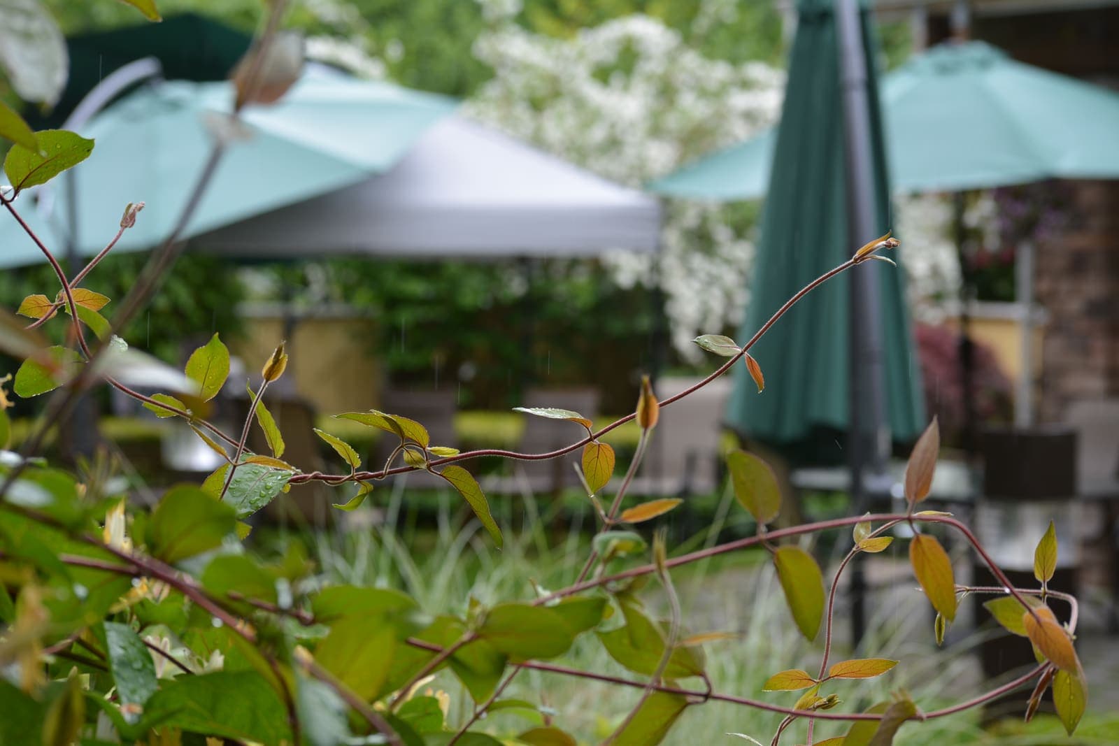Shaded garden patio seating