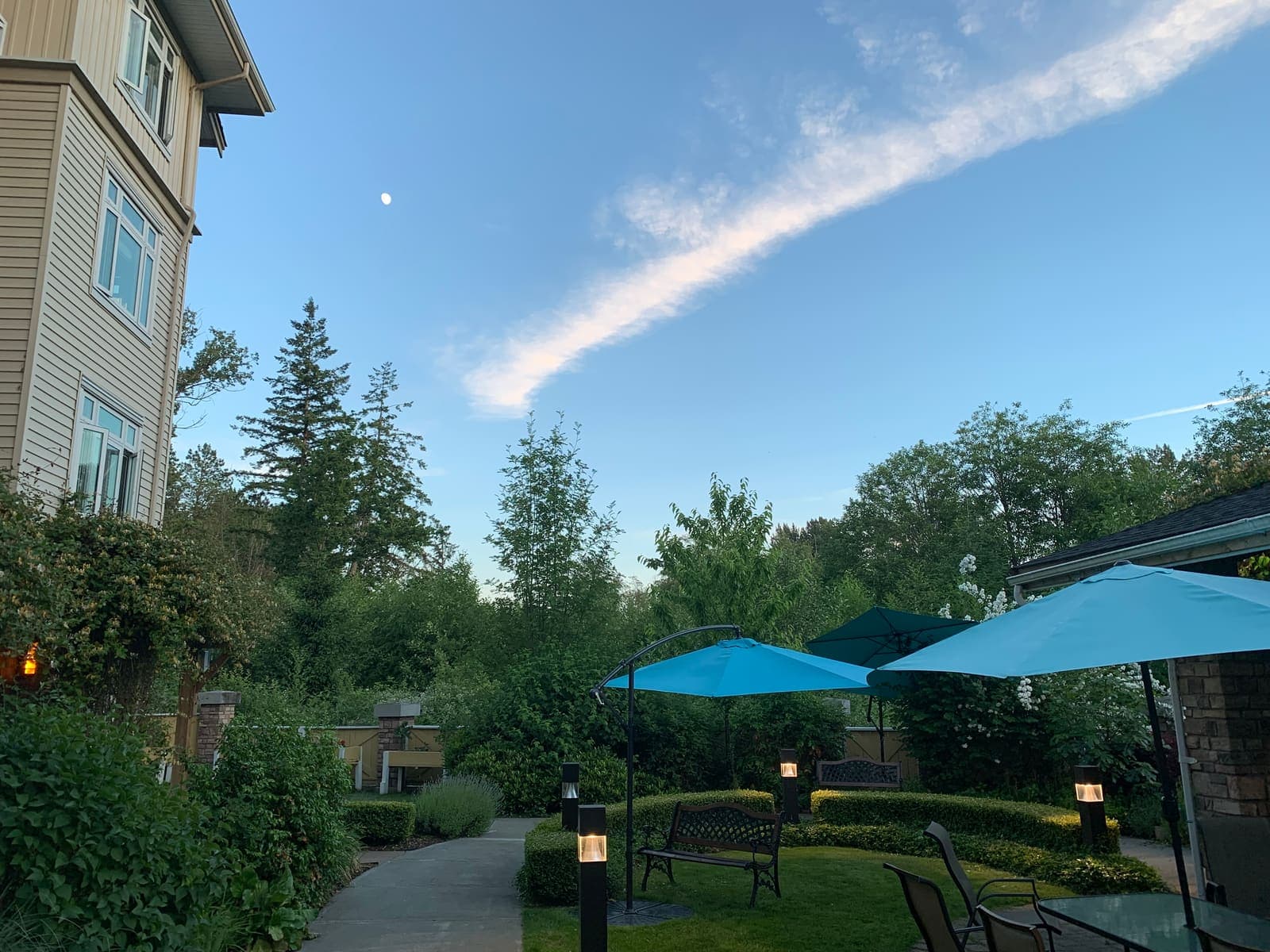 Garden walkway under open skies