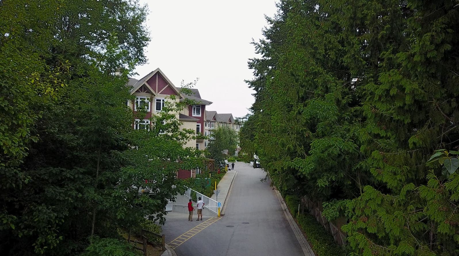 The tree-lined entrance to Bear Creek Villa