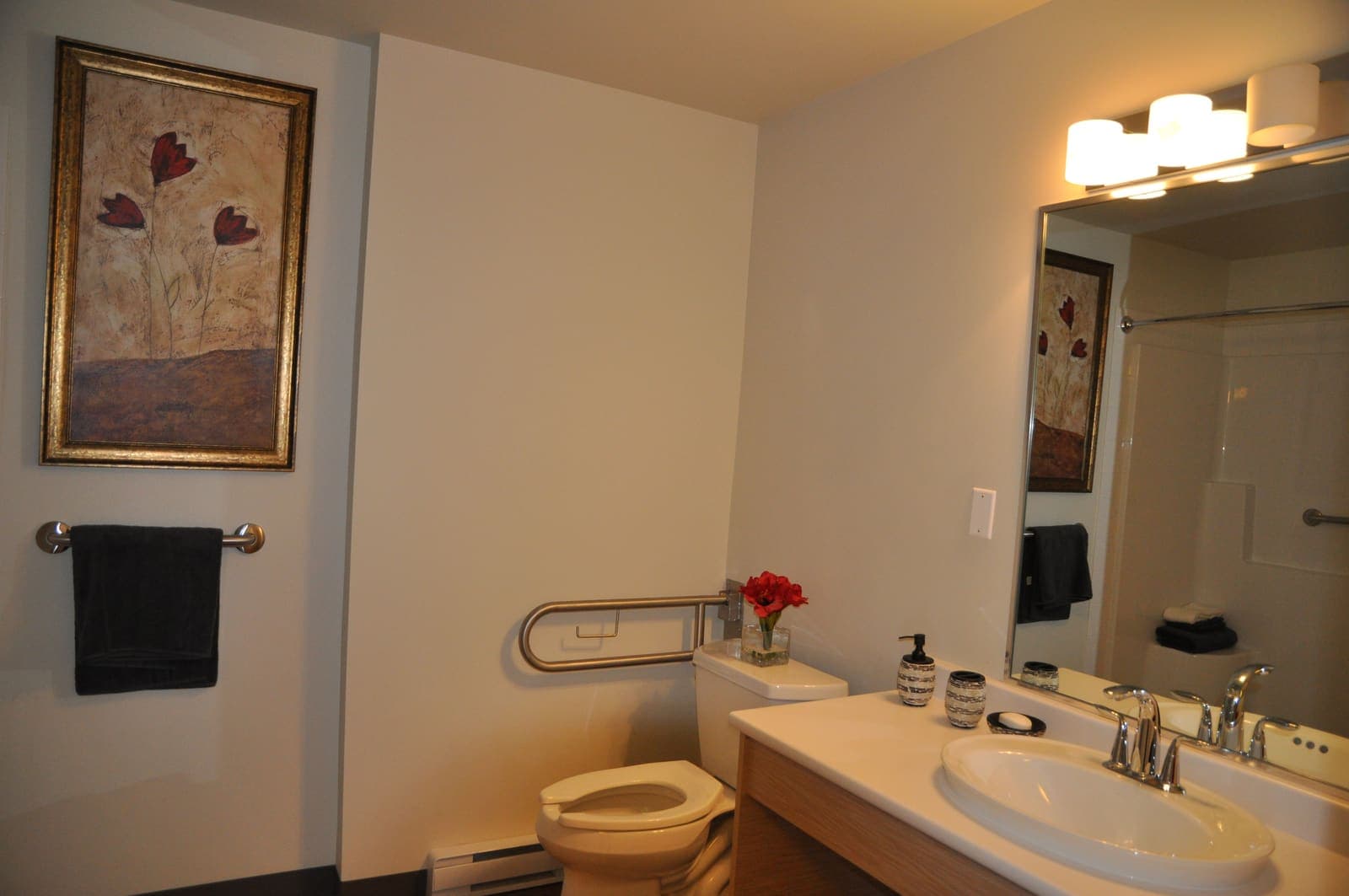 Accessible bathroom with safety bars